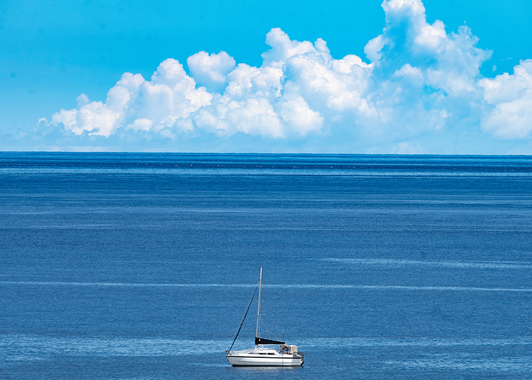 Summer: Emerald Beaches and Tropical Skies