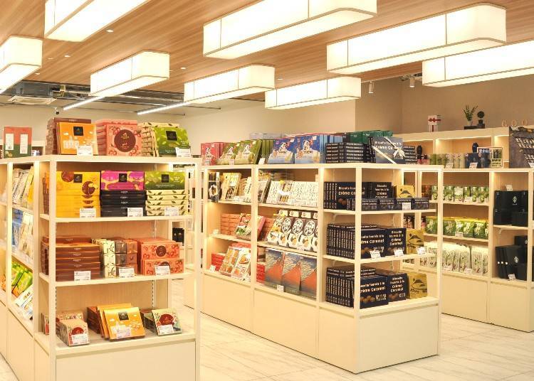 Image courtesy of ALEXANDER & SUN CO., LTD.