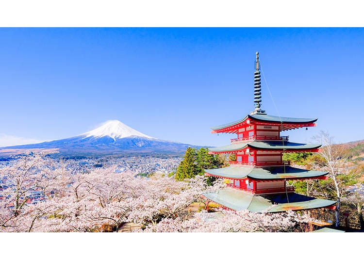 Image courtesy of PIXTA