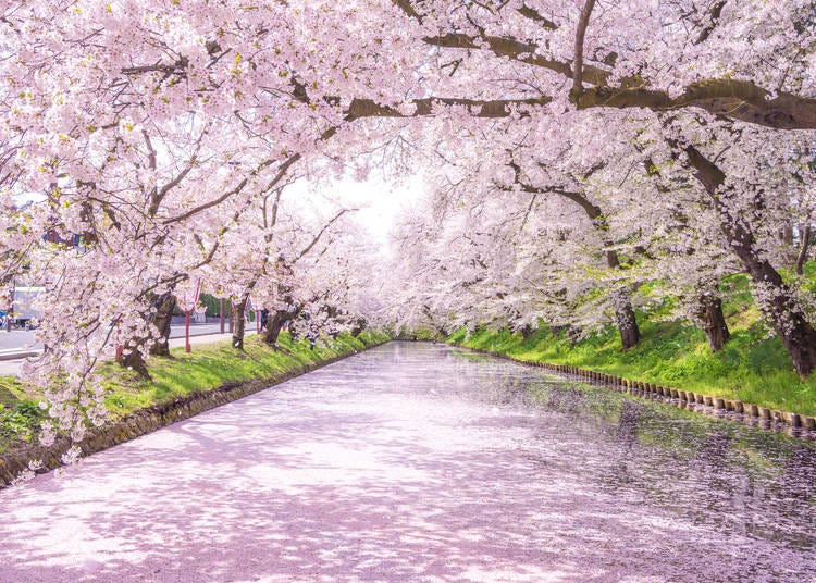 Hirosaki City (Aomori Prefecture) | Implemented since December 2025