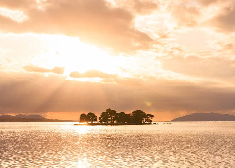 Matsue City (Shimane Prefecture) | Implemented since December 2025