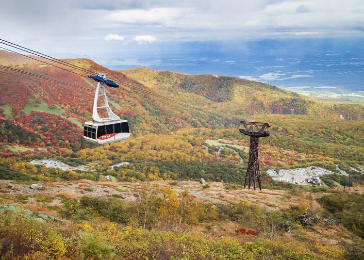 Nasu Town (Tochigi Prefecture) | Scheduled for implementation in October 2026