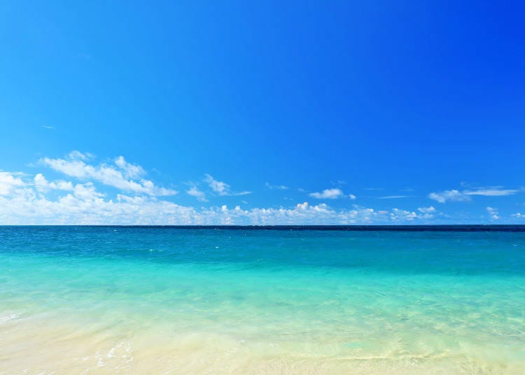 Okinawa Prefecture | Scheduled for implementation in February 2027
