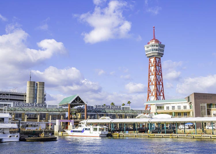 福岡県・福岡市・北九州市｜2020年4月より導入済み