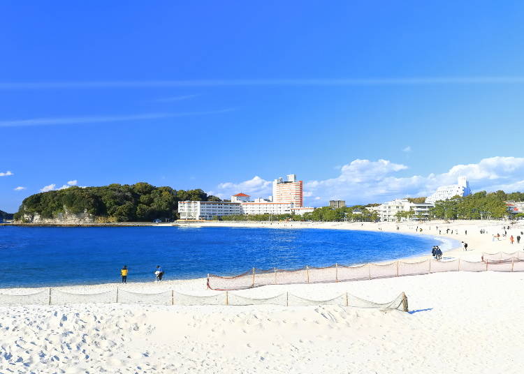 白浜町(和歌山県)|2027年3月より導入予定