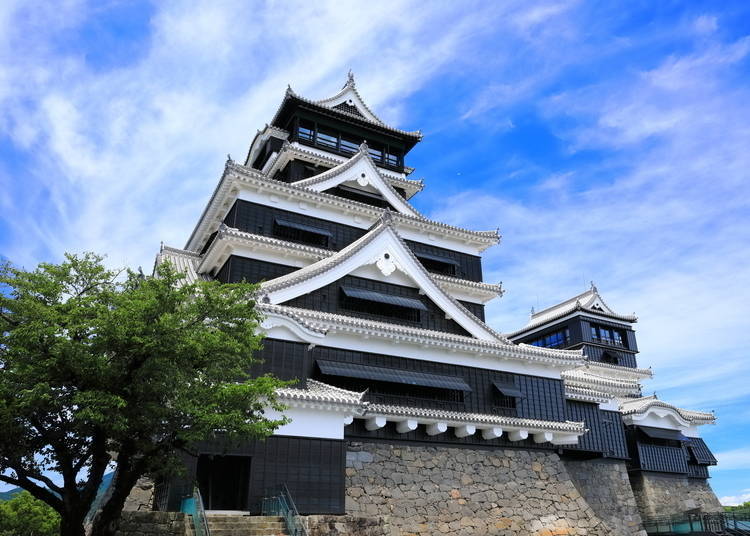 熊本市（熊本縣）｜計劃於 2026 年 7 月起引入