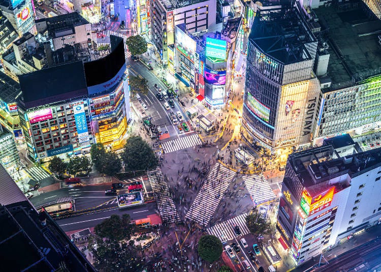 이미지 출처: PIXTA