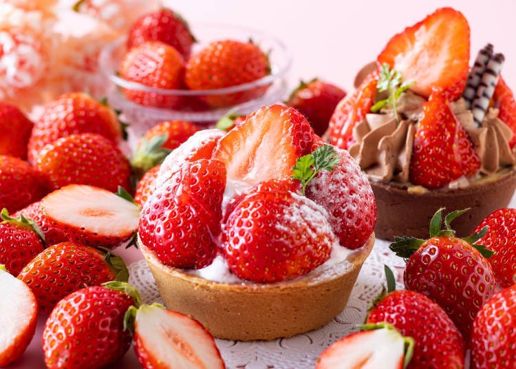 Cake MAP: Taste the Sophistication of World-Class &lsquo;Tokyo Pastry&rsquo;