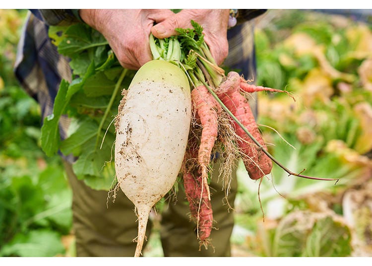 Saga, an area overflowing with delicious, healthy produce
