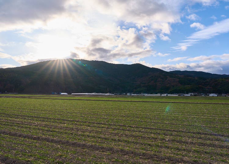 多彩な佐賀のグルメで、自分らしい食の旅を