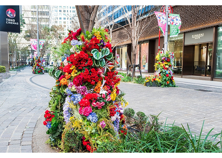 ▲Botanical Street (*From last year)