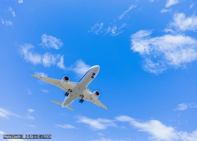 Your Adventure Begins in the Sky