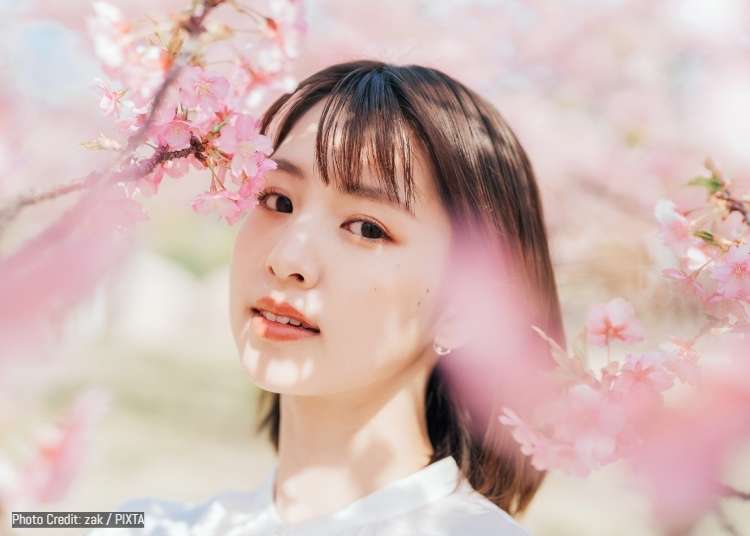 滿開的不只是櫻花還有日本魂！16個讓你「秒懂日本美學」的櫻花日語彙整