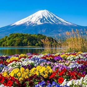 Mount Fuji Seasonal Highlights Day Tour
(Photo credit: Klook)