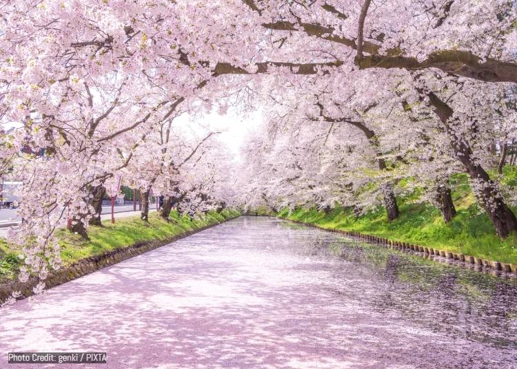 花筏（花筏／Hanaikada）