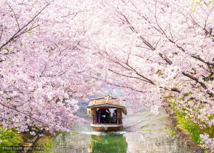 満開（滿開／Mankai）