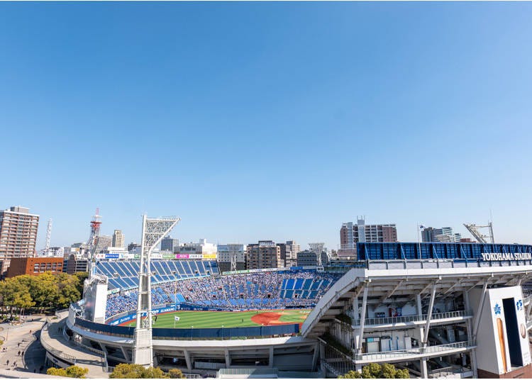 Photo: Timothy Sullivan/LIVE JAPAN