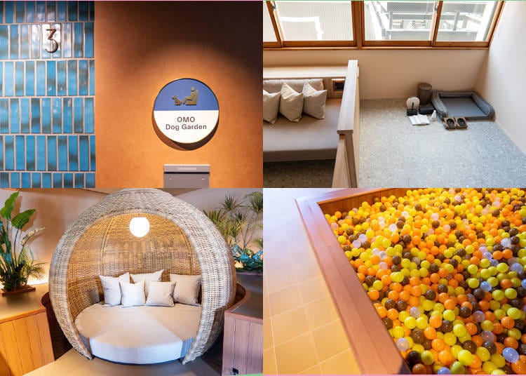 Photo: Timothy Sullivan/LIVE JAPAN