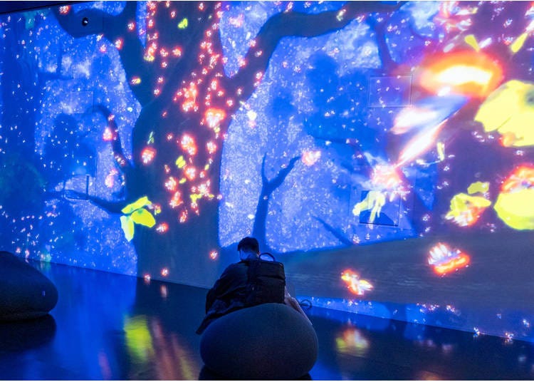 (Photo: Timothy Sullivan/LIVE JAPAN)