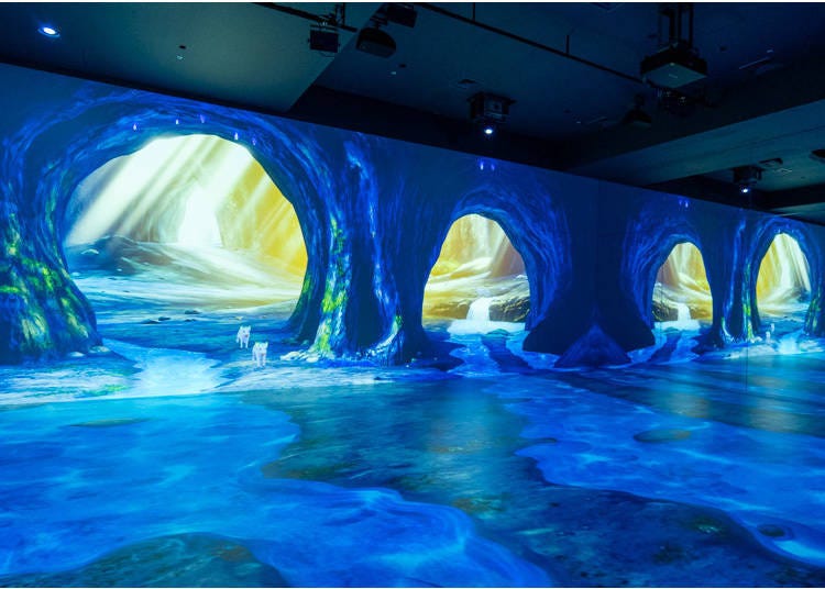 (Photo: Timothy Sullivan/LIVE JAPAN)