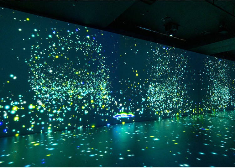 (Photo: Timothy Sullivan/LIVE JAPAN)