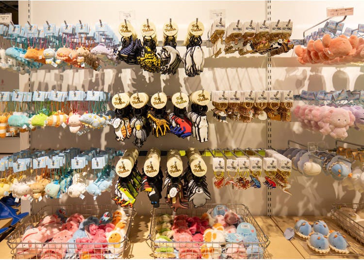 (Photo: Timothy Sullivan/LIVE JAPAN)