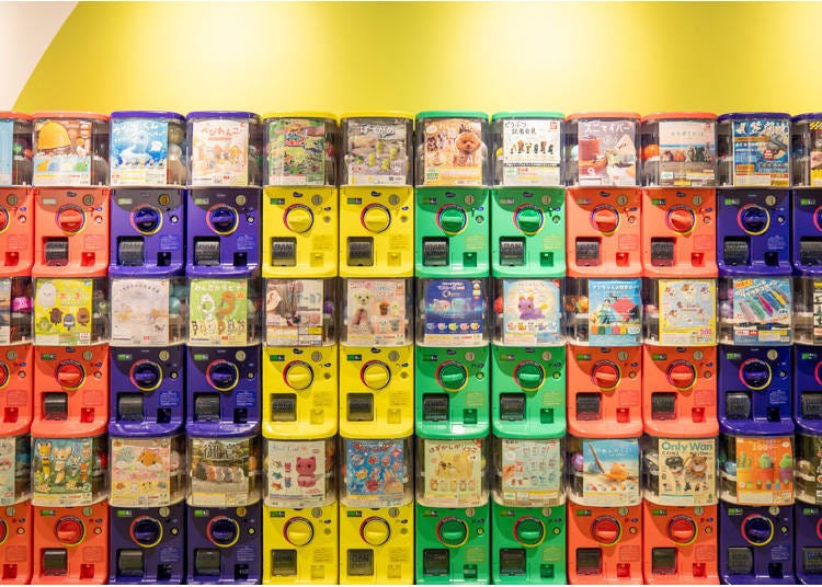 (Photo: Timothy Sullivan/LIVE JAPAN)