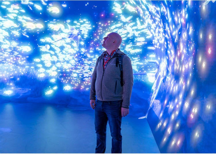 (Photo: Timothy Sullivan/LIVE JAPAN)