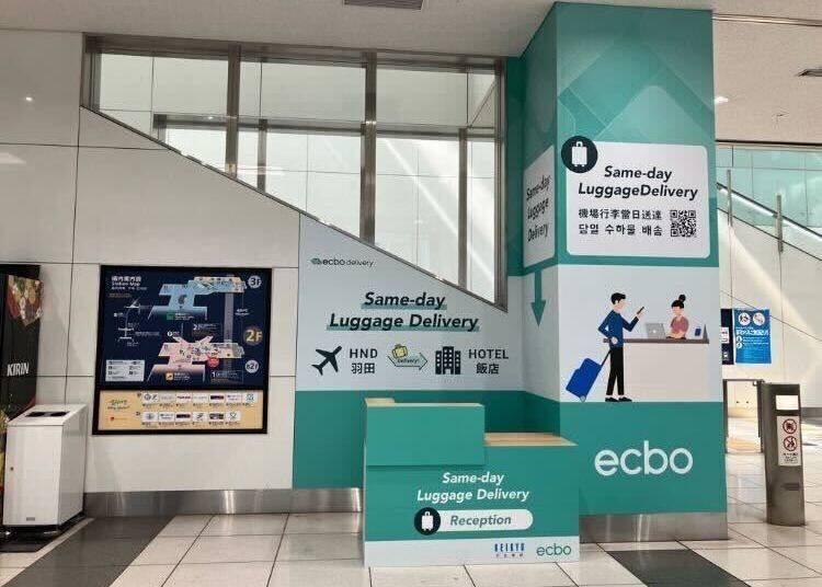 Image source：ecbo Inc.