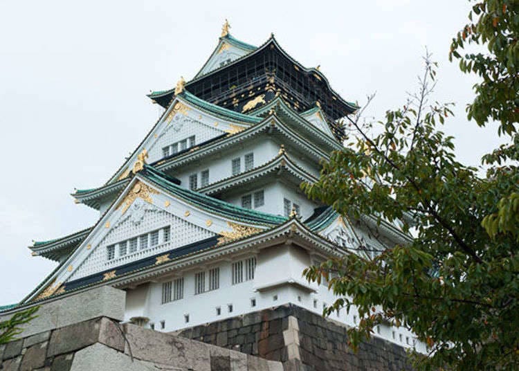 （照片：LIVE JAPAN 文章 a2000008）