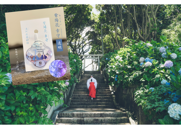 This Seaside Shrine in Ibaraki Is Covered in Hydrangeas This Summer &mdash; Don't Miss the Limited-Edition Omamori