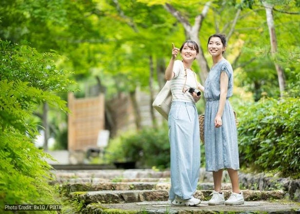AI真的能當你的日本旅遊導遊嗎？LIVE JAPAN問卷結果大公開！看看大家怎麼說～