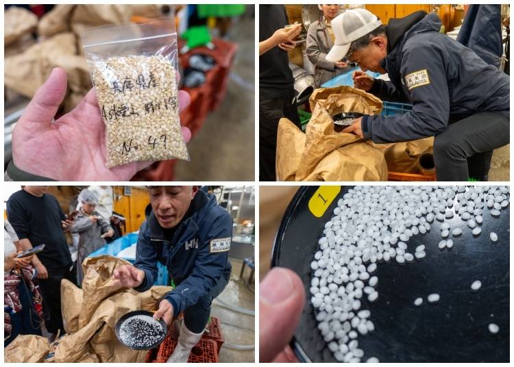 Rice before and after polishing; note the difference in color and translucency (Photo: Timothy Sullivan/LIVE JAPAN)