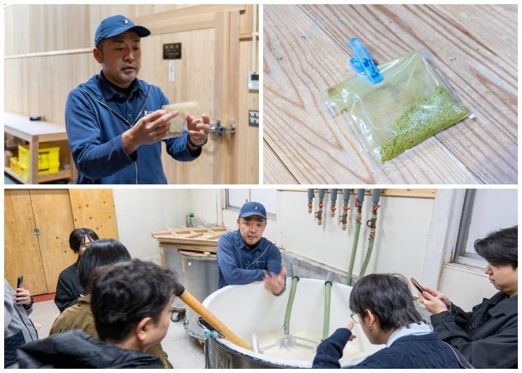 Top: Masato talking about koji mold; bottom: yeast starter (shubo) (Photo: Timothy Sullivan/LIVE JAPAN)