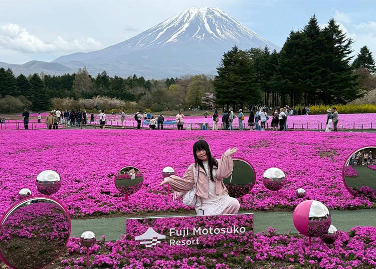 (Photo: LIVE JAPAN Editor)