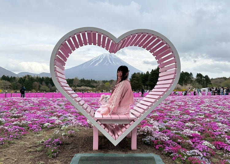 (Photo: LIVE JAPAN Editor)