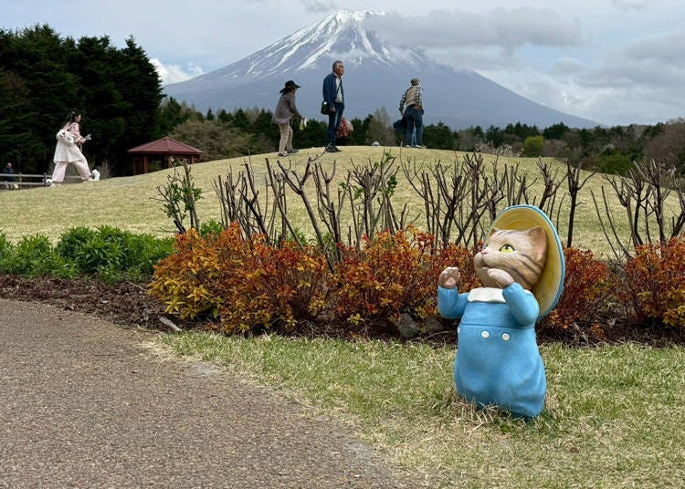 (Photo: LIVE JAPAN Editor)