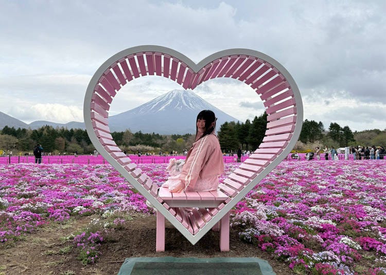(Photo: LIVE JAPAN Editor)