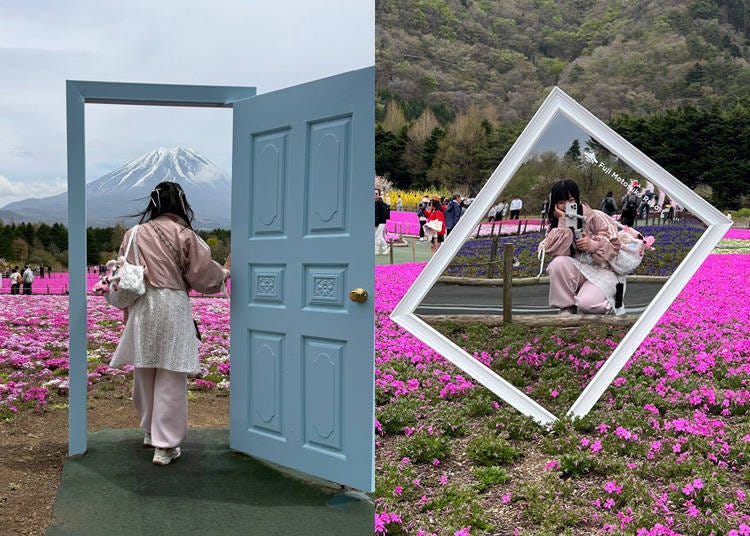 (사진: LIVE JAPAN 편집부)