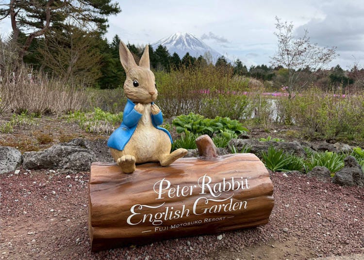 (사진: LIVE JAPAN 편집부)