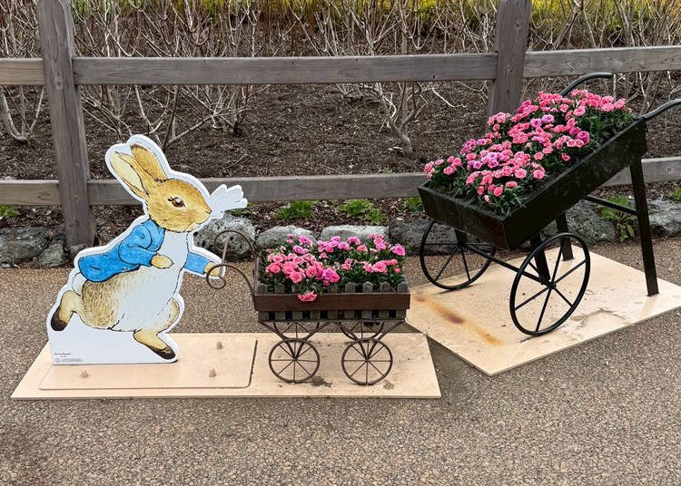 图片来源：LIVE JAPAN编辑部