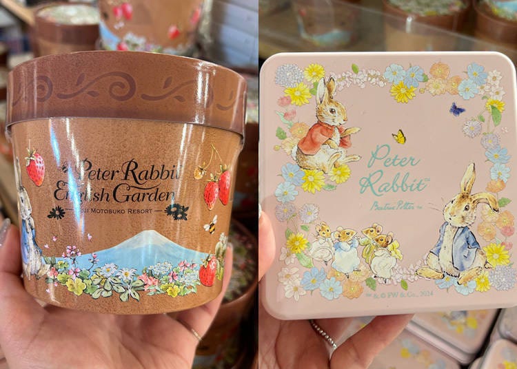 图片来源：LIVE JAPAN编辑部