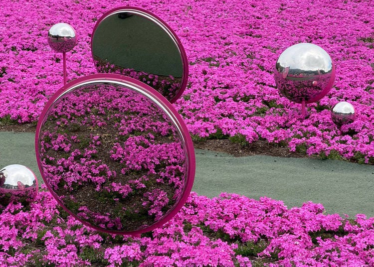 图片来源：LIVE JAPAN编辑部