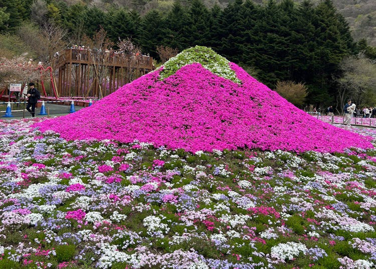 圖片來源：LIVE JAPAN 編輯部