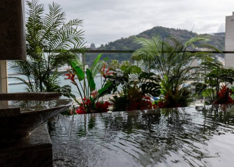 (Photo: Timothy Sullivan/LIVE JAPAN)