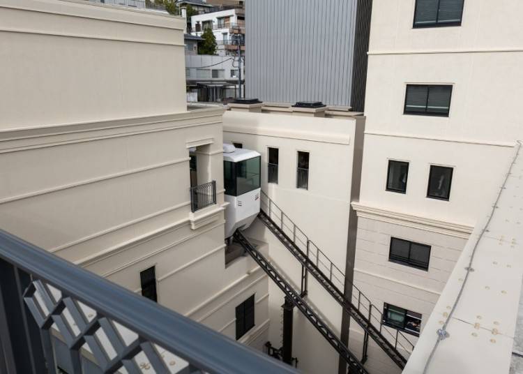 (Photo: Timothy Sullivan/LIVE JAPAN)