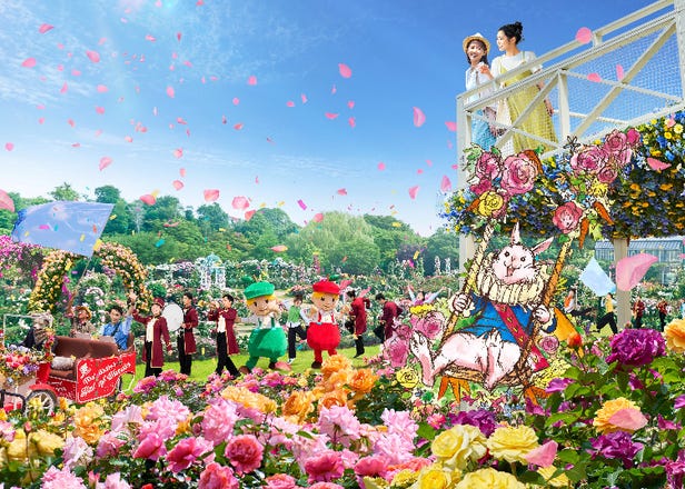Lose Yourself in a Sea of Roses! A Magical Wonderland Awaits at Kanto's Largest Rose Garden This Spring