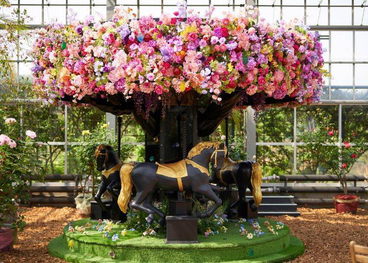 Image source: Keisei Rose Nurseries, Inc.