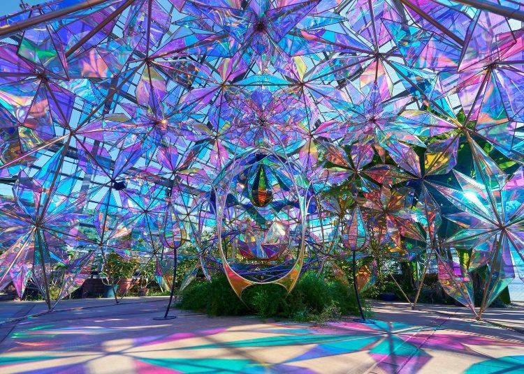 Image source: Keisei Rose Nurseries, Inc.