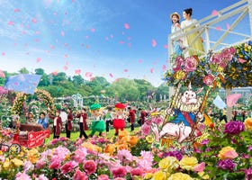 沉浸於玫瑰花海，究極的「不可思議王國」體驗！在關東最大規模的京成玫瑰園迎接最美春天